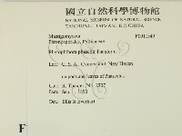 登錄號:F0011549藏品圖，第2張