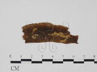 登錄號:F0011549藏品圖，第1張