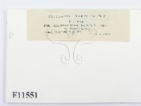 登錄號:F0011551藏品圖，第2張