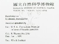 登錄號:F0011552藏品圖，第3張