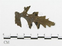 登錄號:F0011552藏品圖，第4張