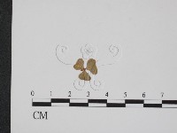 登錄號:F0011557藏品圖，第1張