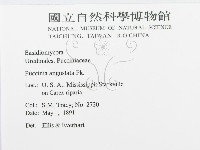 登錄號:F0011559藏品圖，第2張