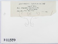 登錄號:F0011559藏品圖，第3張