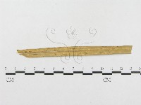 登錄號:F0011559藏品圖，第1張