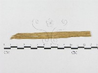 登錄號:F0011559藏品圖，第4張