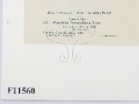 登錄號:F0011560藏品圖，第3張