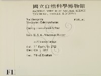 登錄號:F0011561藏品圖，第2張