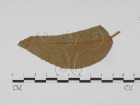 登錄號:F0011561藏品圖，第1張
