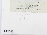 登錄號:F0011563藏品圖，第2張