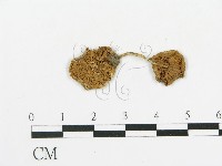 登錄號:F0011563藏品圖，第1張