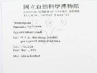 登錄號:F0011564藏品圖，第3張