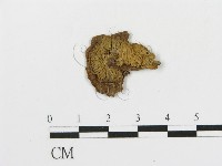 登錄號:F0011564藏品圖，第1張