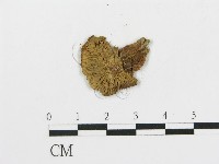 登錄號:F0011564藏品圖，第4張