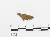 登錄號:F0011565藏品圖，第4張