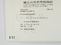 登錄號:F0011566藏品圖，第2張