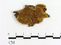 登錄號:F0011567藏品圖，第1張
