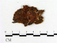 登錄號:F0011567藏品圖，第3張