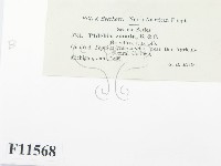 登錄號:F0011568藏品圖，第2張