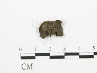 登錄號:F0011568藏品圖，第1張
