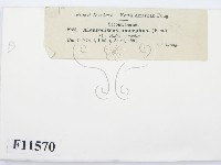 登錄號:F0011570藏品圖，第2張