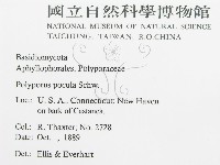 登錄號:F0011571藏品圖，第2張