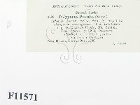 登錄號:F0011571藏品圖，第3張
