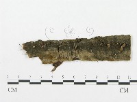登錄號:F0011571藏品圖，第1張