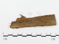 登錄號:F0011571藏品圖，第4張