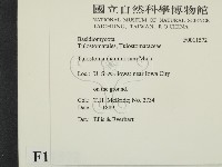 登錄號:F0011572藏品圖，第2張