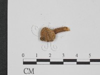 登錄號:F0011572藏品圖，第3張