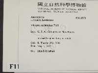 登錄號:F0011573藏品圖，第2張