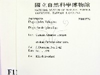 登錄號:F0011576藏品圖，第2張