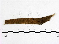 登錄號:F0011576藏品圖，第1張