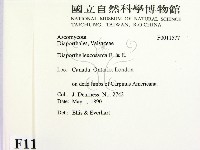 登錄號:F0011577藏品圖，第2張