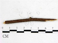 登錄號:F0011577藏品圖，第1張