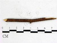 登錄號:F0011577藏品圖，第3張