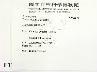 登錄號:F0011579藏品圖，第2張