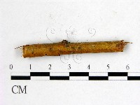 登錄號:F0011579藏品圖，第1張