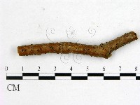 登錄號:F0011580藏品圖，第1張