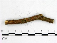 登錄號:F0011580藏品圖，第3張