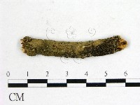 登錄號:F0011581藏品圖，第1張