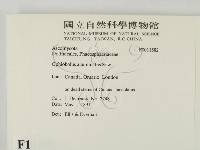 登錄號:F0011582藏品圖，第2張