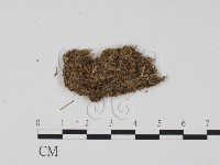 登錄號:F0011583藏品圖，第1張