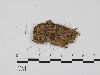 登錄號:F0011583藏品圖，第3張