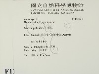 登錄號:F0011584藏品圖，第2張