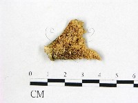 登錄號:F0011585藏品圖，第1張