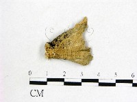 登錄號:F0011585藏品圖，第3張