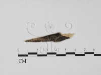 登錄號:F0011586藏品圖，第1張