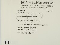 登錄號:F0011587藏品圖，第2張